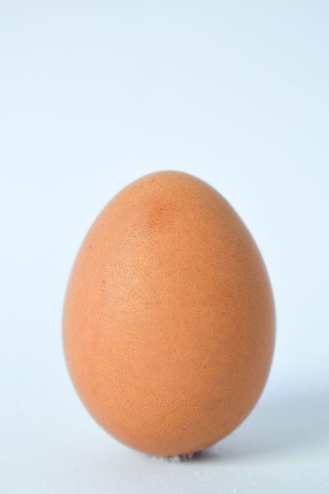 Close up of whole brown egg on table