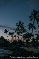 People sitting on Hawaiian beach at sunset 47gnB4