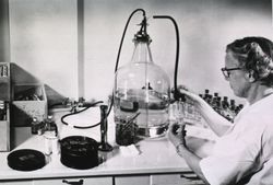 Female scientist working in laboratory with large beaker 5kOZL5