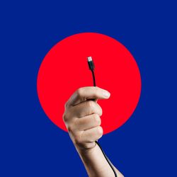 Hand holding a USB-C cable against a graphic blue and red background.