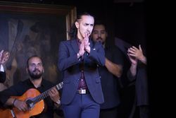 Flamenco performance on stage