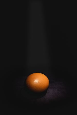 Raw eggs on dark background