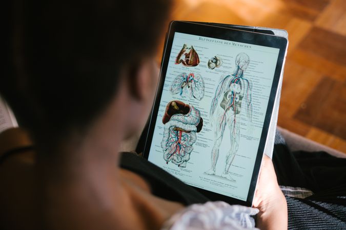 Back view of a person using tablet computer to view human anatomy in medical context