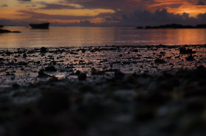 Rocks on Mauritius beach with orange sunrise