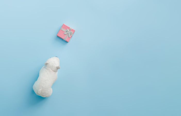 Top view of polar bear toy with Christmas gift box