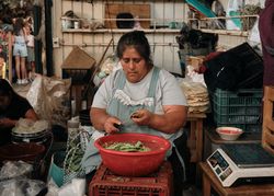 Woman trimming cactus for food