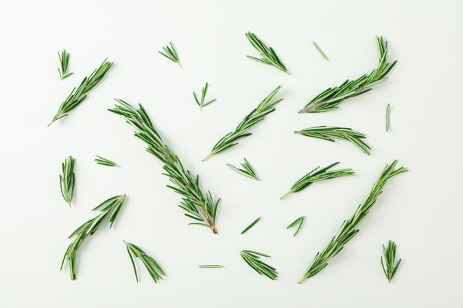 Flat lay composition with rosemary on neutral background, space for text