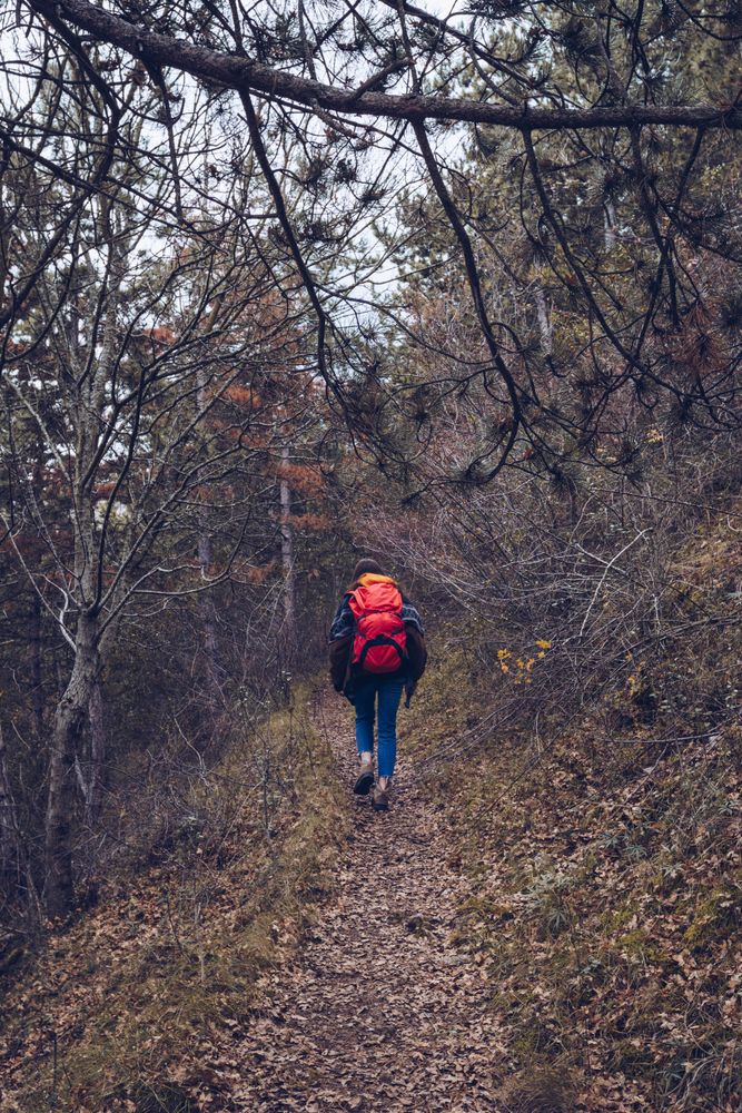 Hiker with backpack walking along pathway in autumn forest