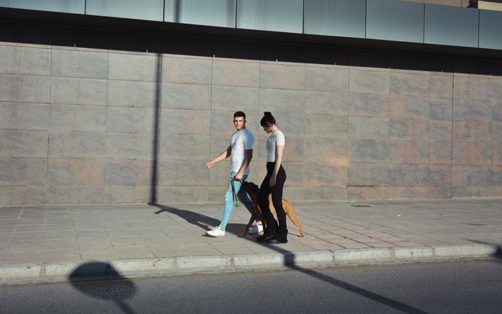 Couple walking and playing with their dog