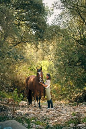 Horsewoman feeding obedient horse in forest