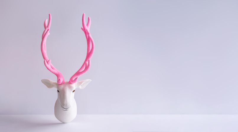 Reindeer with pink antlers