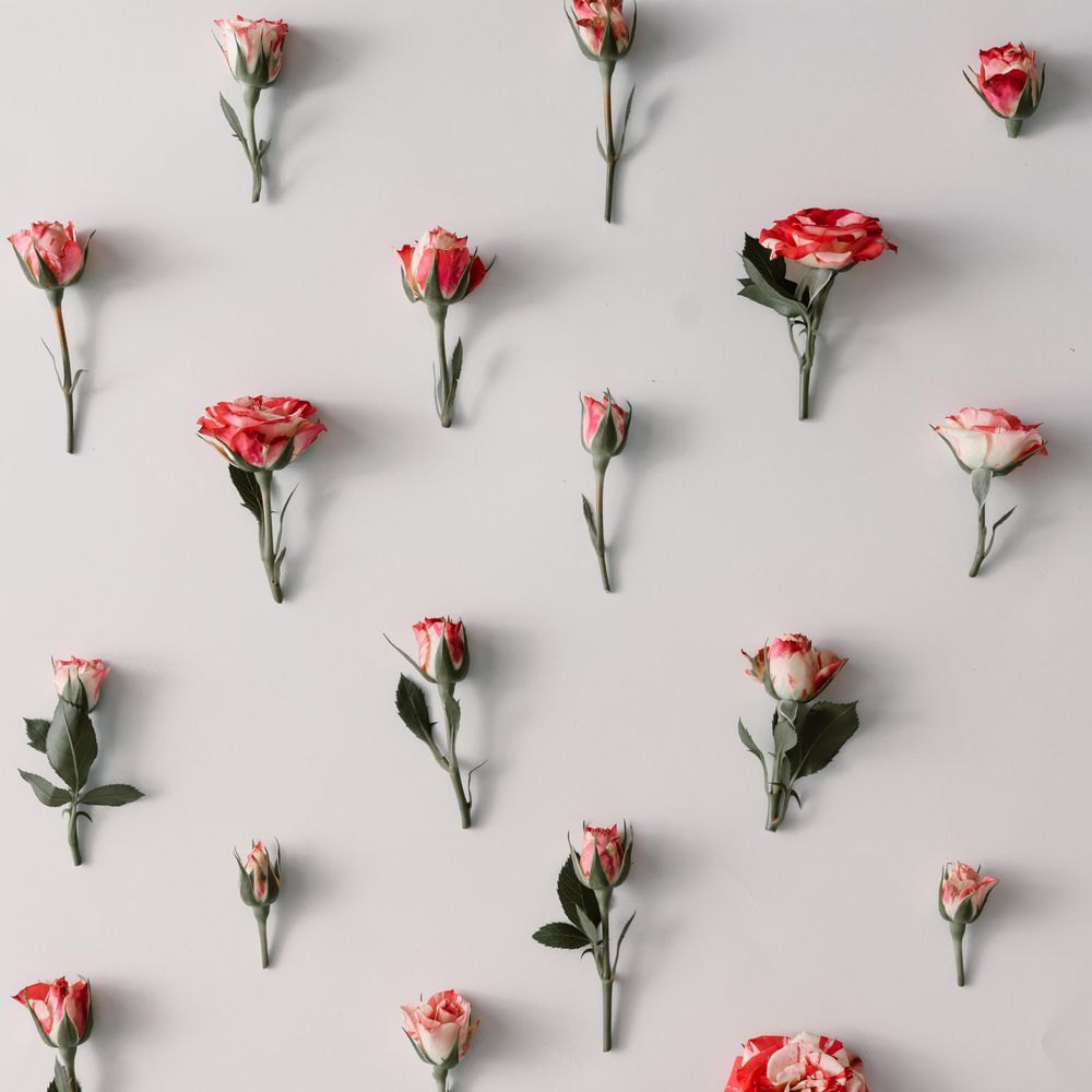 Colorful flowers pattern on light  background