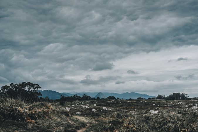 Cloudy sky and withered grass