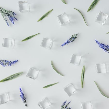Ice cubes and lavender leaves  pattern on bright background