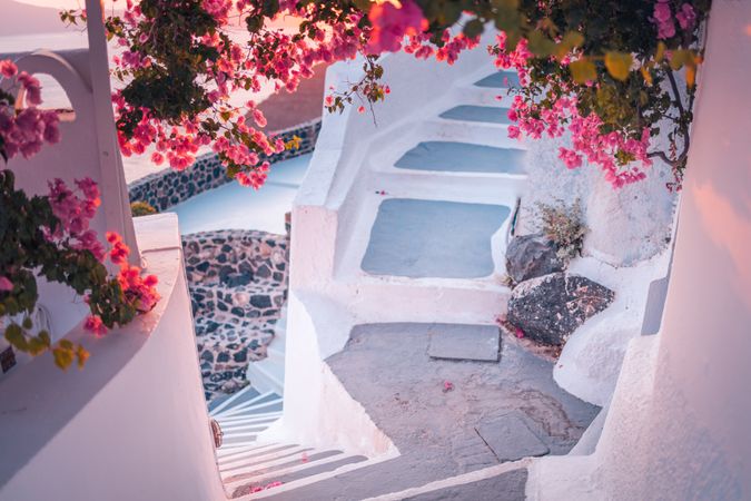 Narrow stair walkway with bougainvillea flowers in Greece