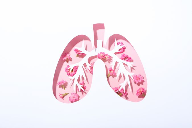 Lung shape cut out of paper with bronchus and pink flowers underneath