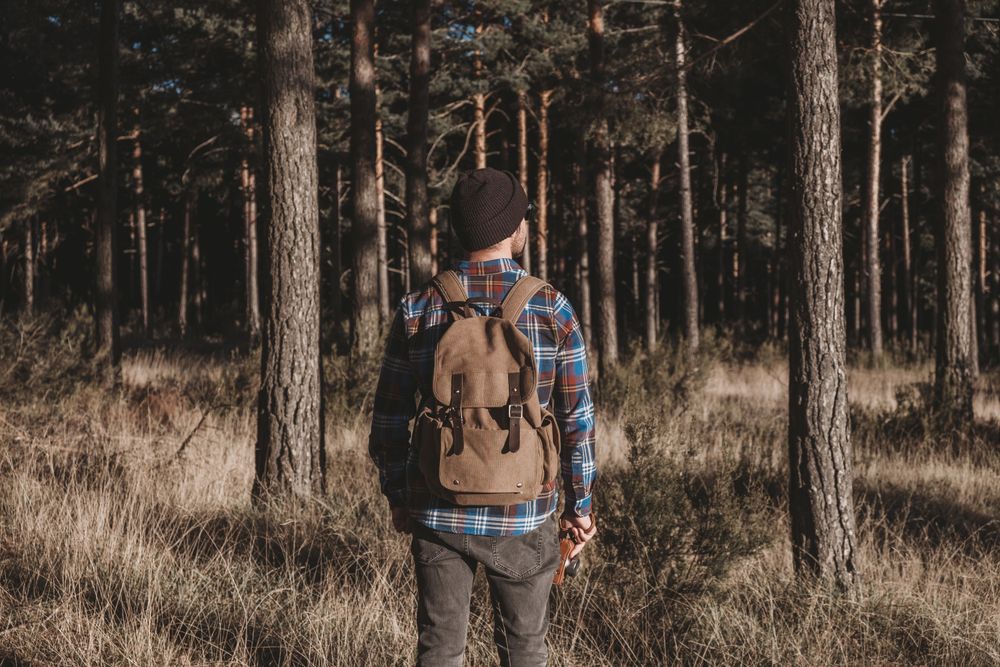 Confident tourist walking along autumn forest
