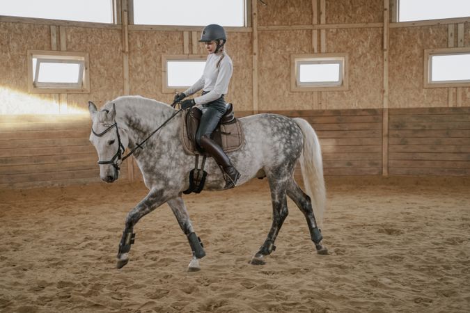 Rider riding dapple gray horse in round arena
