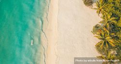 Aerial shot of beach with clear water and palm trees 4dKpl5