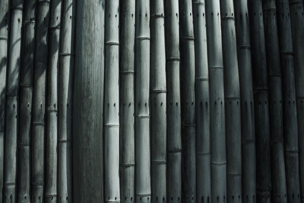 Bamboo wall