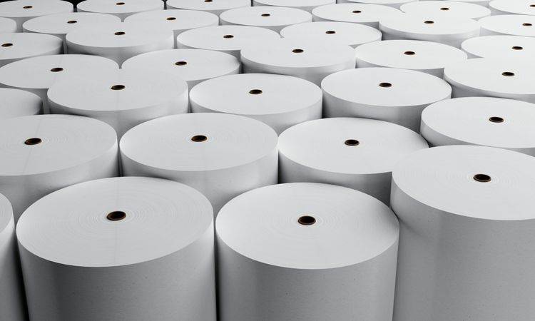 Rolls of paper stored cleanly in bright space