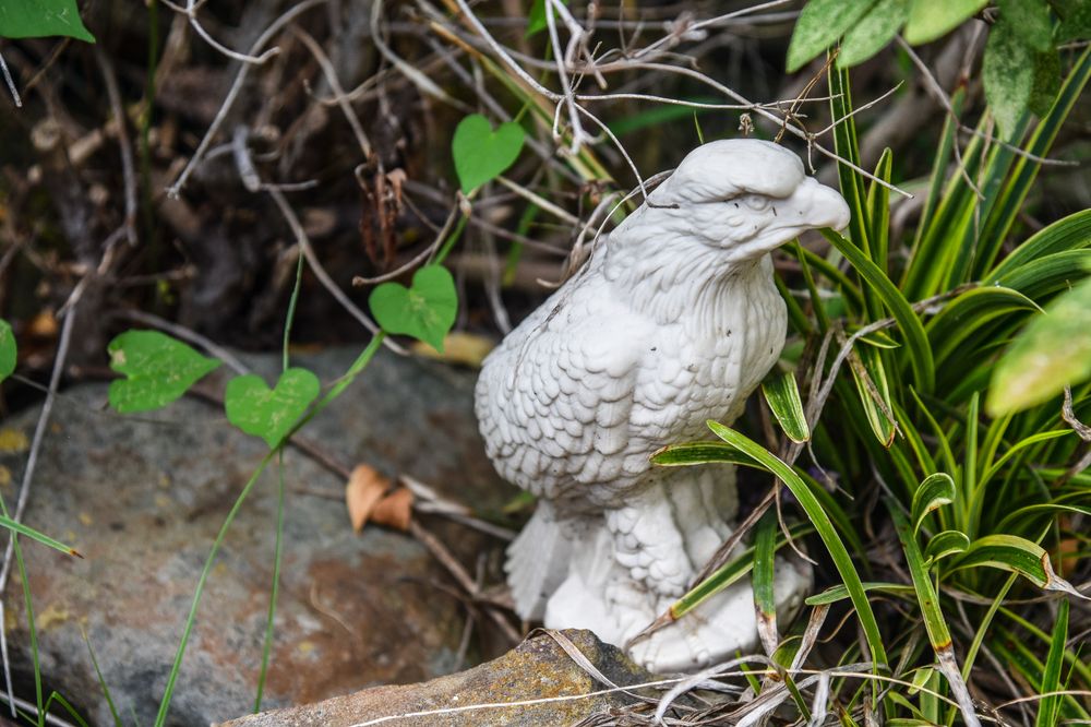A stone or statue of a bird in a garden