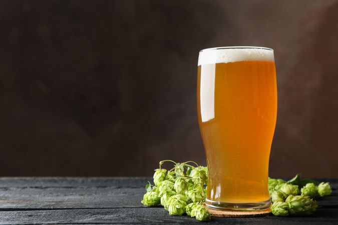 Glass of beer and hop cones on wooden table, copy space