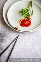 Rustic table setting with red buttercup flowers on grey plate 5oDqN9