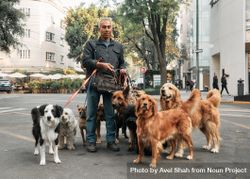 Dogwalker in Mexico City 4BW1Xb