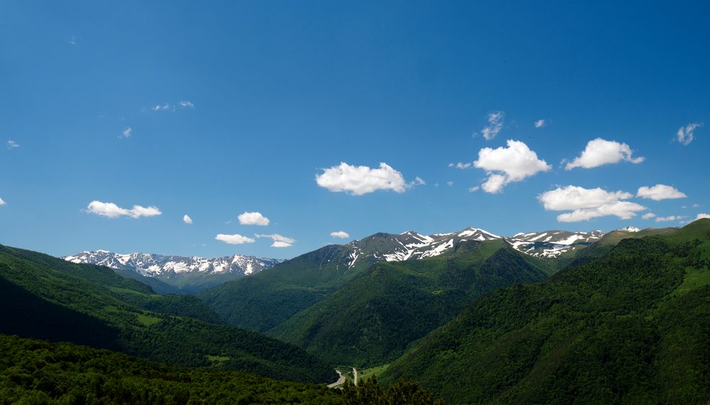 Snow-capped mountains under blue sky with forested hills in foreground.