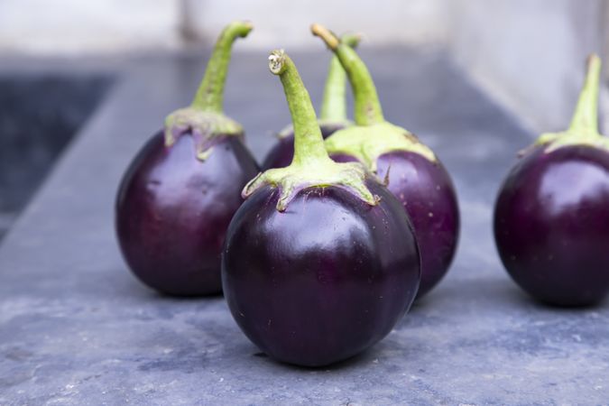 Fresh round eggplant on a grey concrete floor