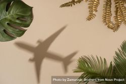Flat lay of green and gold leaves with shadow of airplane bDE7p0
