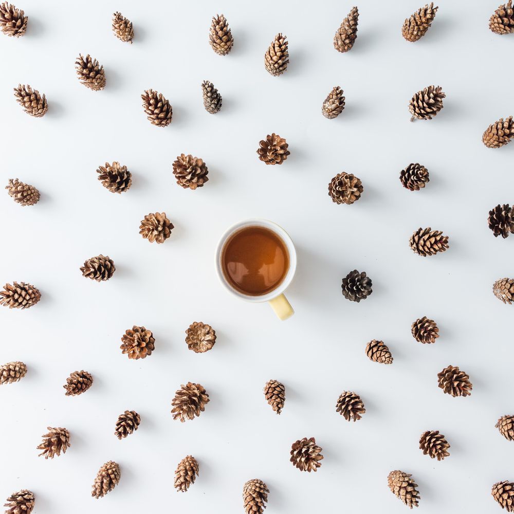 Winter forest aerial made of pinecones with coffee
