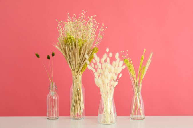 Four glass vases with dried flowers in pink room