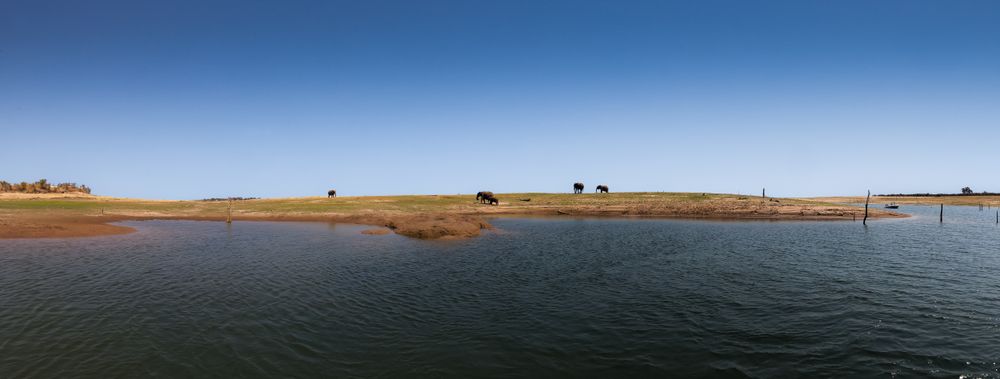 On the shores of Kariba Lake