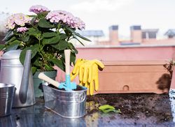 Home gardening equipment on patio