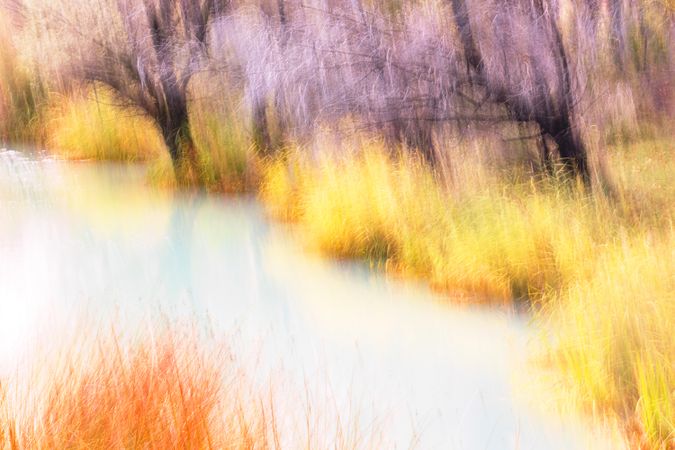 Blurred trees in forest river