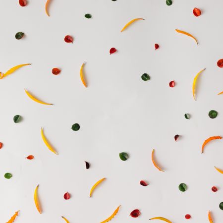 Bright colorful autumn pattern made of leaves