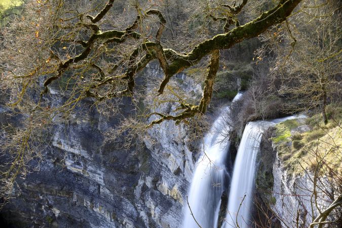 Autumn tree and waterfall