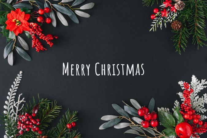 “Merry Christmas” surrounded with branches with mistletoe and pine on dark background