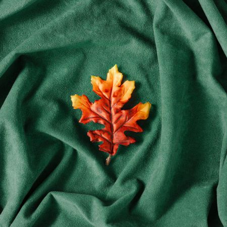 Autumn yellow leaf with green velvet background