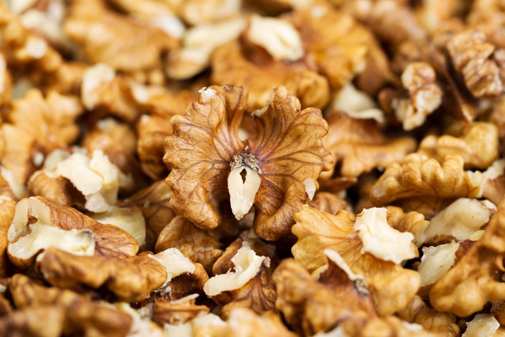 Fresh raw walnuts