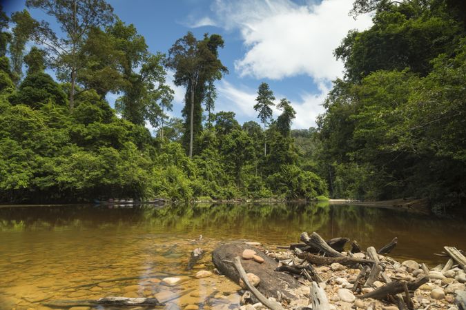 The oldest tropical rainforest in the world, Taman Negara Malaysia