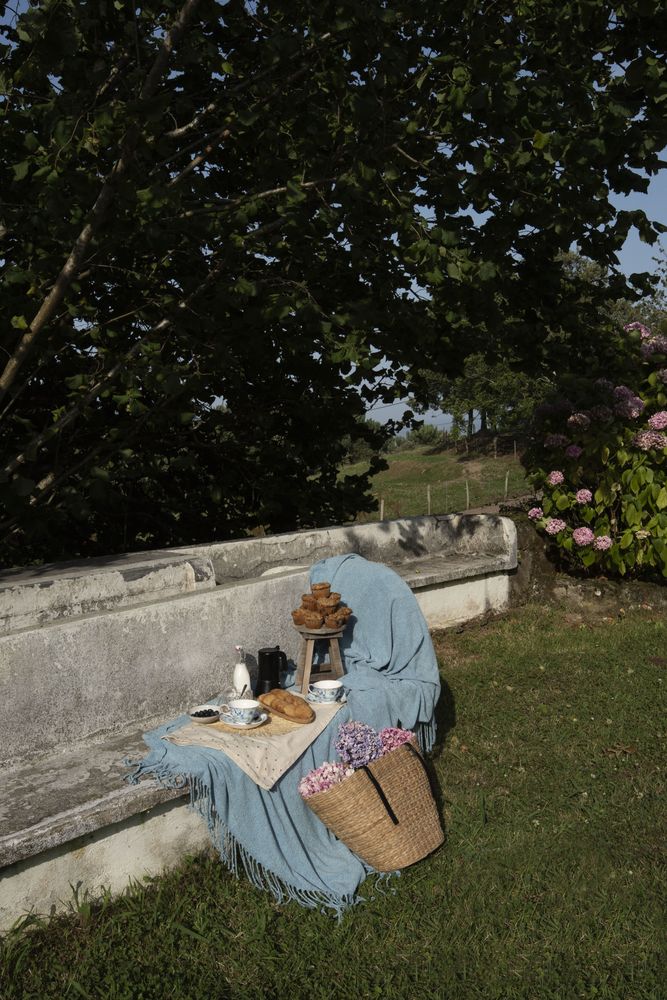Delicious breakfast with tea and sweets on bench at garden
