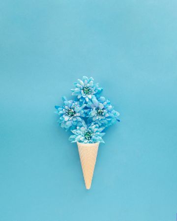 Blue flowers emerging from cone