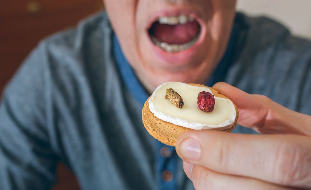 Man eating crickets canape