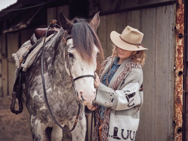 Unrecognizable woman petting purebred horse