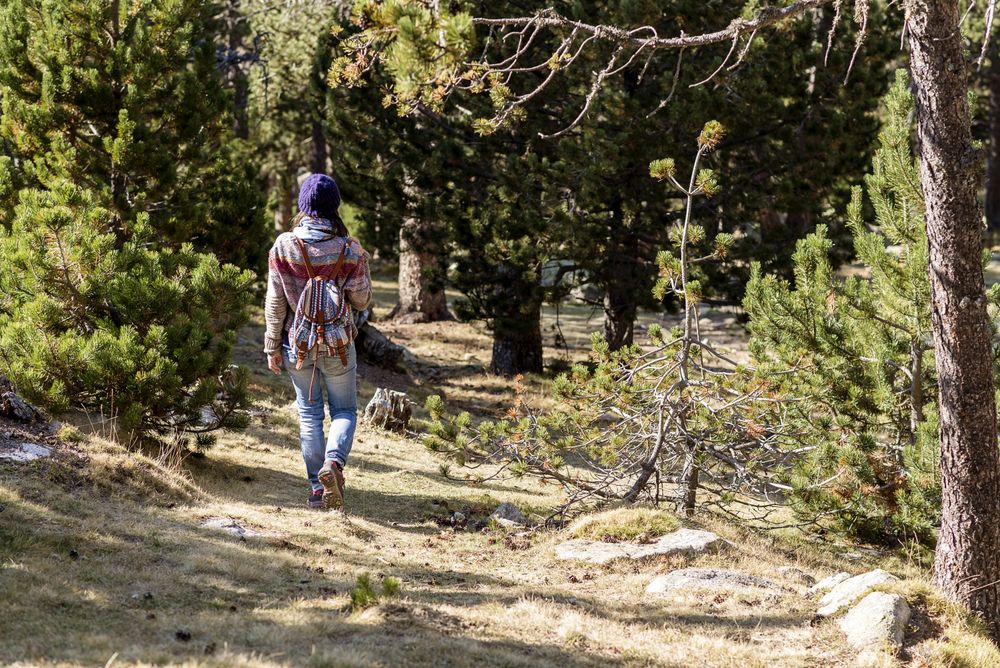 Woman in sweater and backpack enjoying a walk on trail in the sunny woods