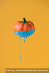 Mini pumpkin dipped in blue paint 5kON65