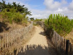 The coastal path at dawn, La Couarde sur Mer, France
